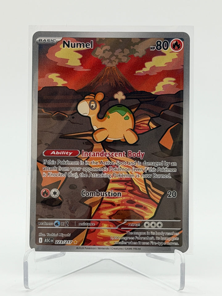 Numel (223/217) - Ascended Heroes